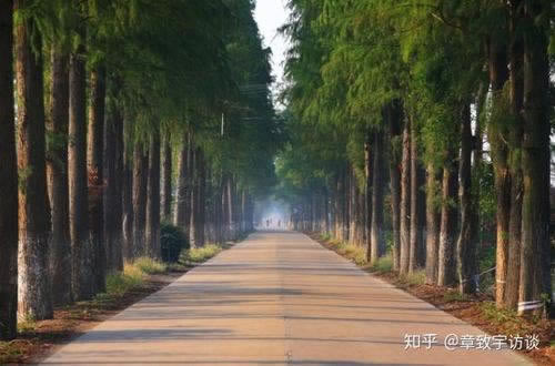 网上提现失败 破解思路(图)