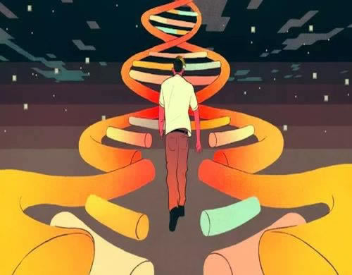 网络平台如果被黑财务清算提现失败 破解策略(图)