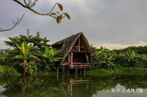 在网上平台赢钱系统显示财务清算提不出款怎样办(图)