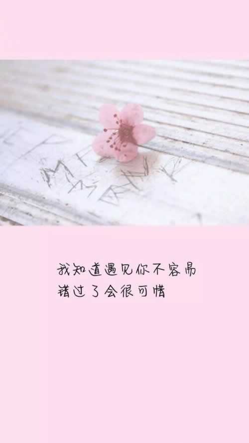 怎么通过风控审核教你如何处理(图)