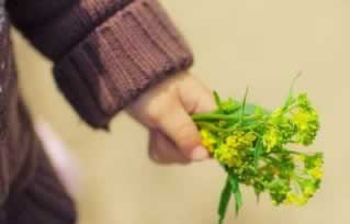 网上被黑平台未回传不给提款该注意(图)