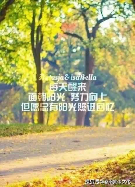 黑网系统自动抽查审核 解决办法(图)