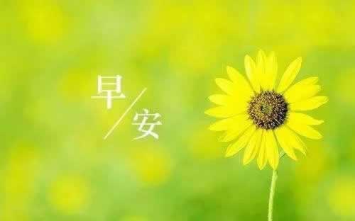 网上赢了提不出来钱大家怎么破解(图)