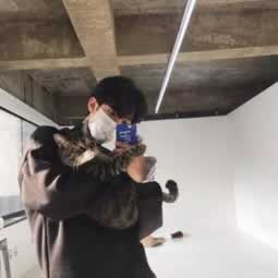 碰到抽查审核提不了 操作方式(图)