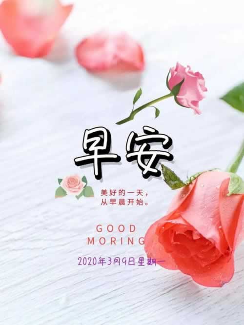 在网上出端口维护不让提款怎样搞(图)