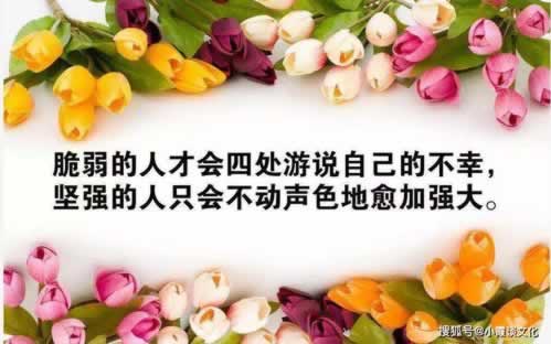在网站维护提不了款怎样处理(图)