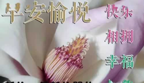网上提款出款系统审核不通过登陆异常是什么情况(图)