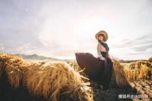 网络王头流水不够不给提款怎么追回损失 解决方法(图)
