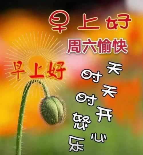 数据丢失未回传取消提款延迟暂时无法提现不让提款破解不难(图)