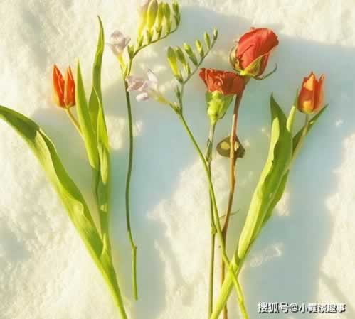 在平台上账号有风险不能提现哪里有方法 解决方法(图)