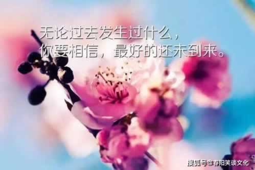 在黑平台上财务清算显示提现失败如何操作(图)