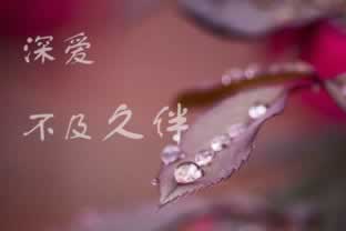 网上提款通道维护不给提款还能拿回钱吗 破解策略(图)