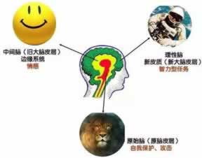 提现异常还可以提现回来吗办法有哪些(图)