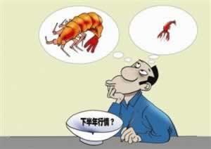 在平台财务清算审核要多久才能提现要注意(图)