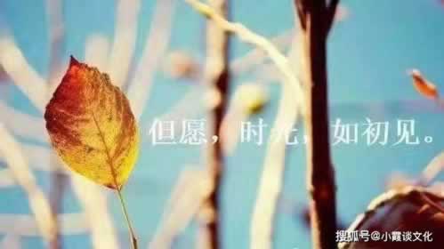网络系统审核一直不给提现有什么解决办法(图)