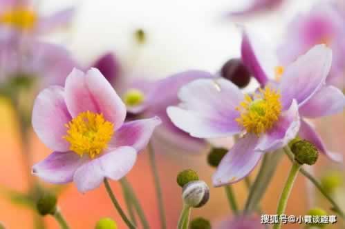 网上发生提款出现系统维护啥情况(图)