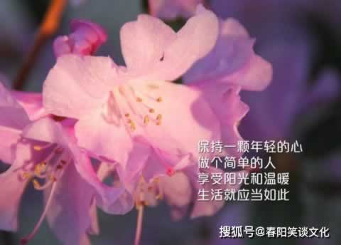 网上出款退回通道维护要多久大家怎么搞(图)