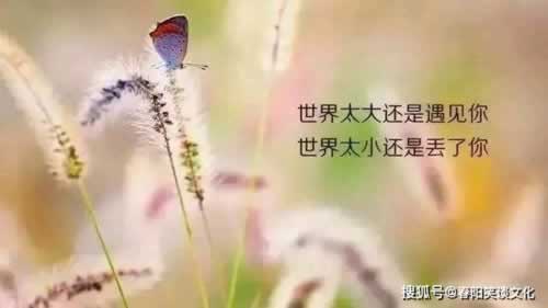 被黑号未冻结钱不给提 化解方法(图)