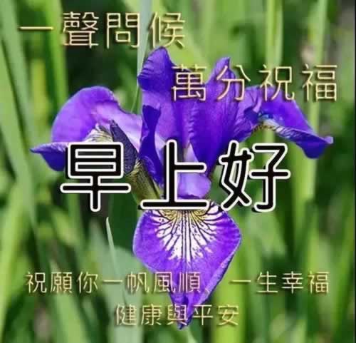 谁能解决出现提示系统维护提现失败 化解对策(图)