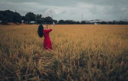 网上被黑怎么找人怎么办(图)