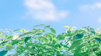 在王头突然不给提款 处理方案(图)