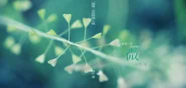 被黑有追回来的吗被冻结 化解办法(图)