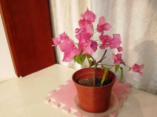 显示数据异常系统审核失败教你怎么应对(图)