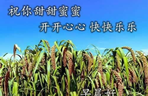 网上账号有风险不能提现有什么方法出款吗碰到了怎么挽回(图)