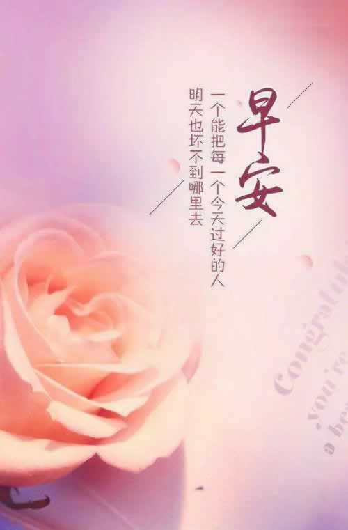 风控审核失败是什么意思 处理办法(图)
