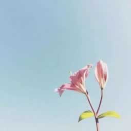 碰到黑网出现异常一直提款失败教你如何挽回(图)