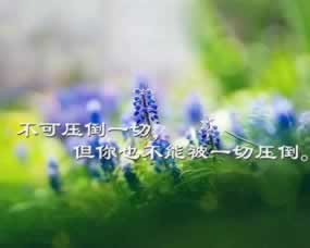 网上平台审核不给提款碰到了如何面对(图)