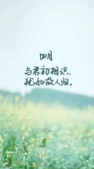网上被黑常态打码量不通过怎么强制提现怎么解决问题教你怎么办(图)