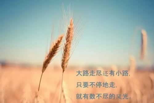 遇到系统维护了我们教你破解(图)