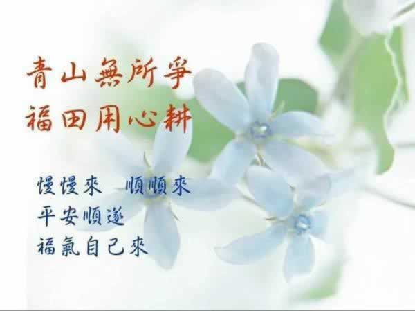 因为网络波动导致提现失败怎样避免(图)