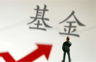 在网上的平台系统财务清算一直提现失败要如何挽回(图)