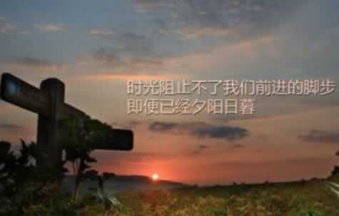 出款通道维护投诉平台电话 处理办法(图)