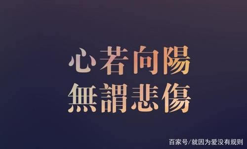 在黑网营前提不能操作了什么情况(图)